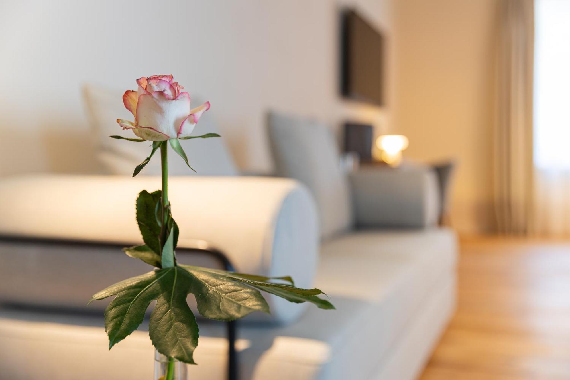 Schlettau Boutique Hotel Gruener Zweig מראה חיצוני תמונה